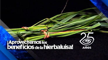 planta